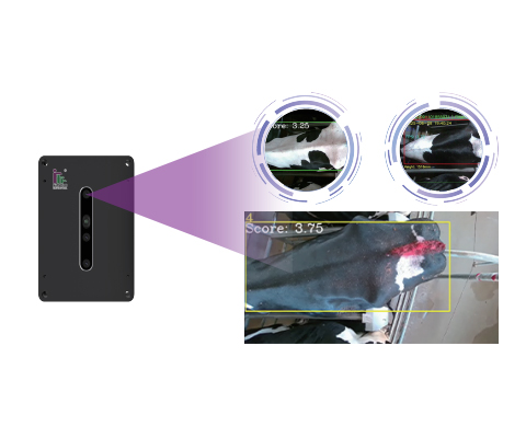 3D视觉智能体况评分系统